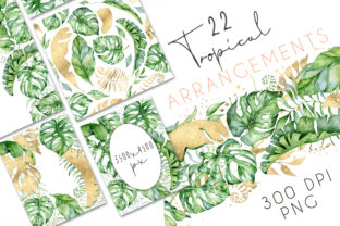 Download 22 Tropical Arrangements watercolor Jungle Clipart - Jungle clipart Collection