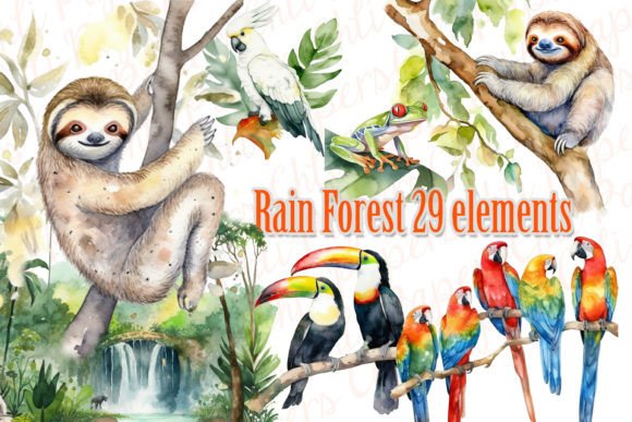 Download Rain Forest Clipart.Jungle Clipart,Sloth - Jungle clipart Collection